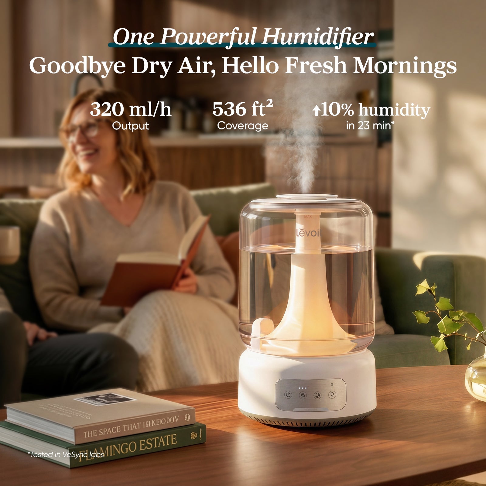 neoclassic 650 luftbefeuchter